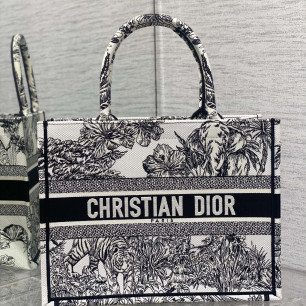 디올 Book Tote 백