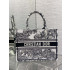 디올 Book Tote 백