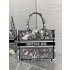 디올 Book Tote 백