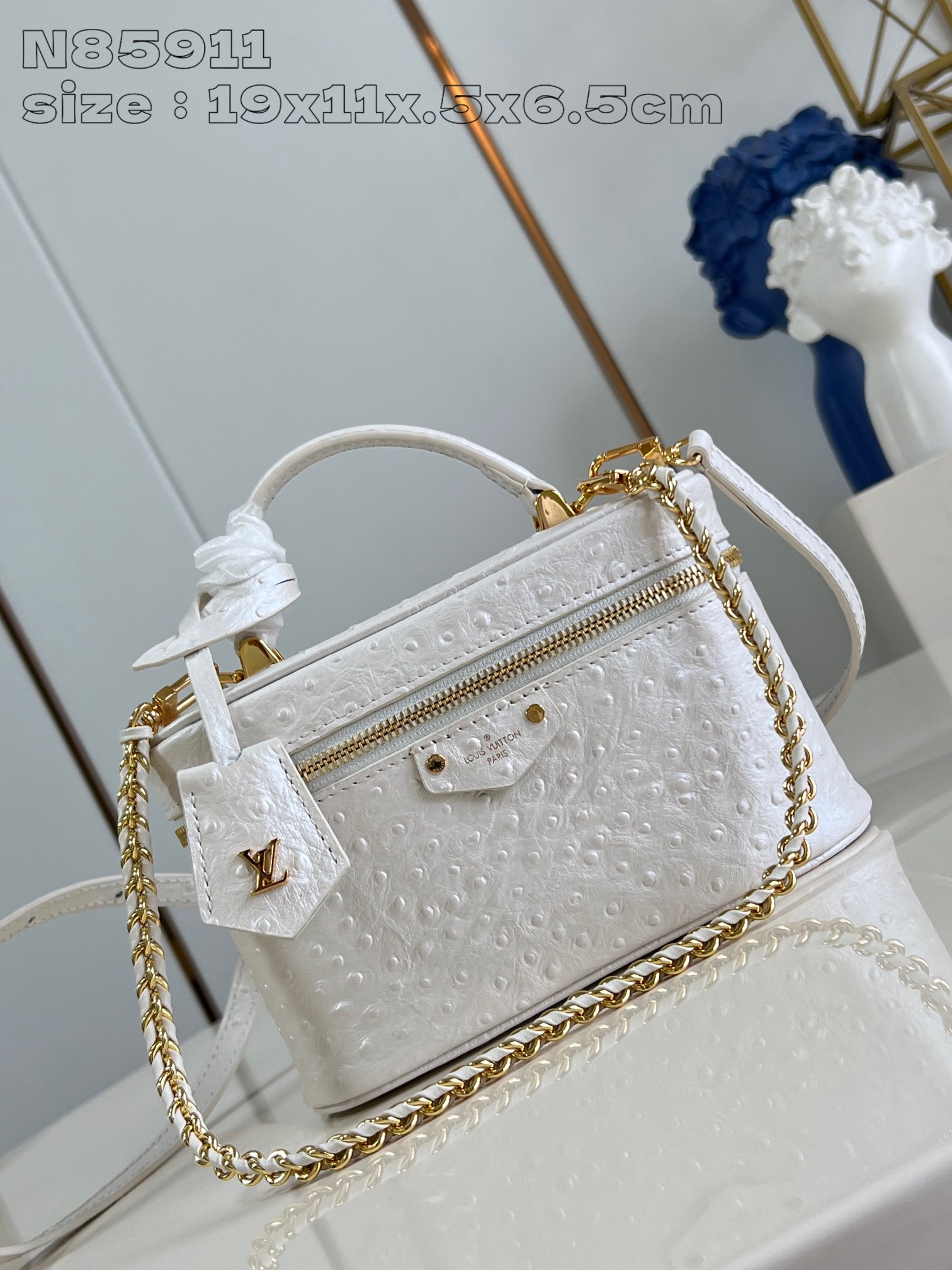 루이비통 Vanity Chain Pouch 파우치 체인백