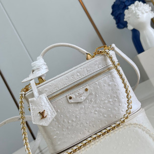 루이비통 Vanity Chain Pouch 파우치 체인백