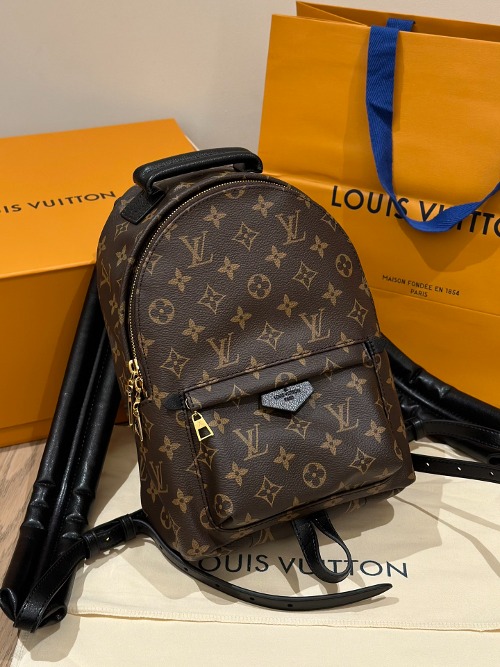 LOUIS VUITTON 루이비통 팜 스프링스 백팩 (해외최상급)