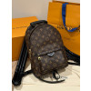 LOUIS VUITTON 루이비통 팜 스프링스 백팩 (해외최상급)