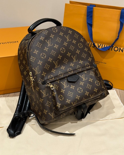 LOUIS VUITTON 루이비통 팜 스프링스 백팩 (해외최상급)