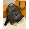 LOUIS VUITTON 루이비통 팜 스프링스 백팩 (해외최상급)
