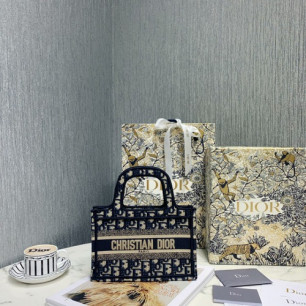 DIOR 북도트백 미니