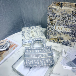 DIOR 북도트백 미니