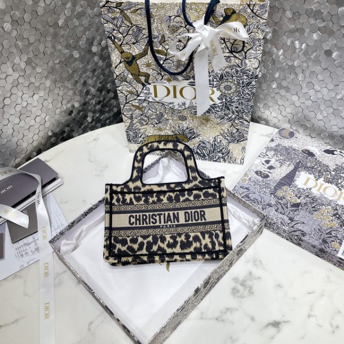 DIOR 북도트백 미니