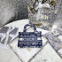DIOR 북도트백 미니