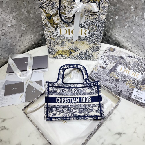 DIOR 북도트백 미니