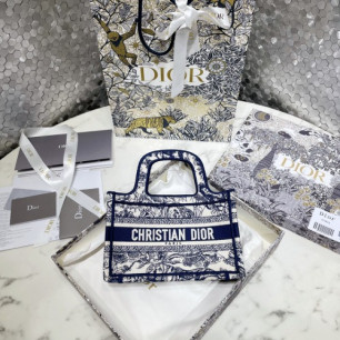 DIOR 북도트백 미니