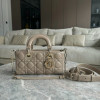 DIOR 레이디백 디조이 백 스몰 M0613