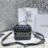 DIOR 트래블 오블리크 베니티 케이스 백 S5529VRIW