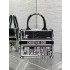 DIOR 북토트 백 스몰