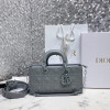 DIOR 레이디 디 조이 백 M0540ONGE