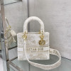 DIOR 레이디 디 라이트 백 미듐 M0565OECY