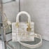 DIOR 레이디 디 라이트 백 미듐 M0565OECY