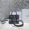 DIOR 레이디 디 라이트 백 미듐 M0565OECY