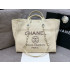 CHANEL 샤넬 도빌백 라지 A66941