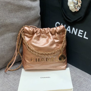 CHANEL 샤넬 22백 미니 AS3980
