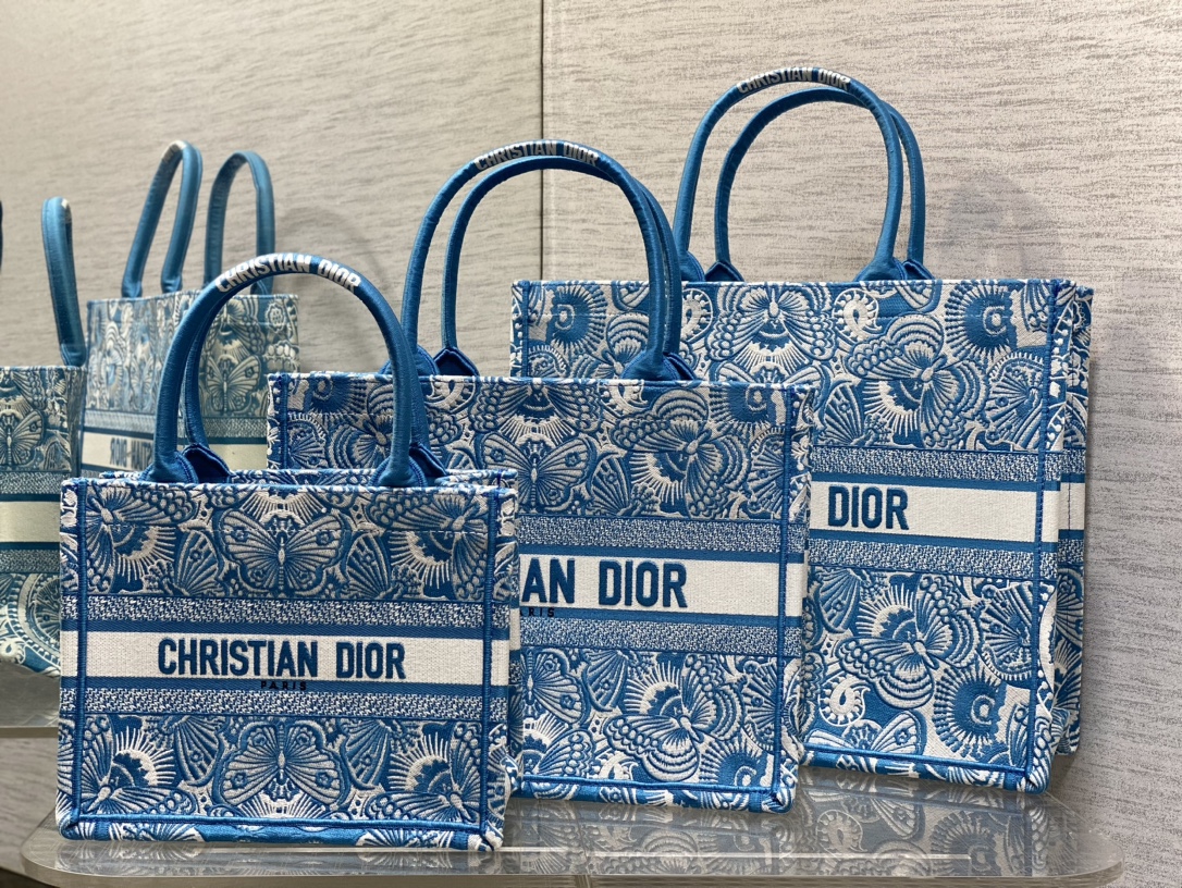 디올 Book Tote 북 토드 백