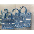 디올 Book Tote 북 토드 백
