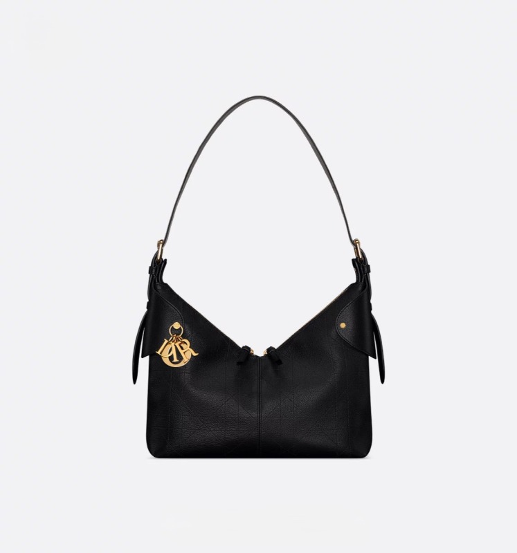 디올 Voyage 미디엄 백
