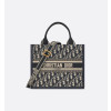 디올 Book Tote 스몰 핸들백