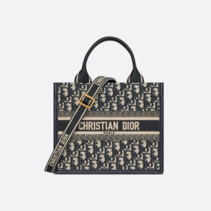 디올 Book Tote 스몰 핸들백