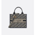 디올 Book Tote 스몰 핸들백