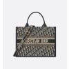 디올 Book Tote 미디 핸들백