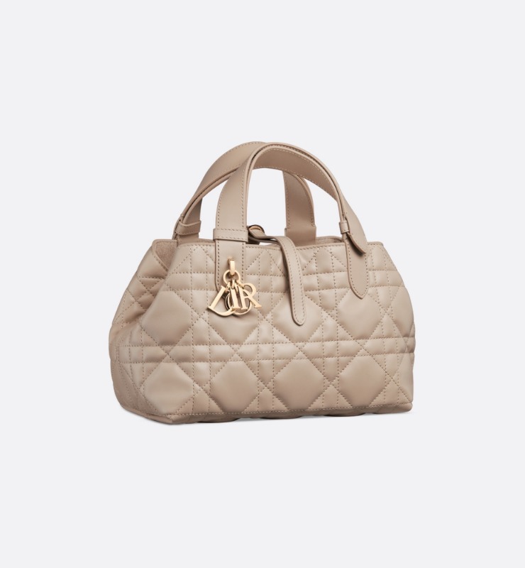 디올 Toujours 스몰 백
