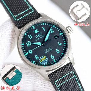TW) IWC 파일럿 워치 마크 XX