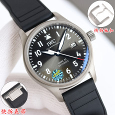 TW) IWC 파일럿 워치 마크 XX
