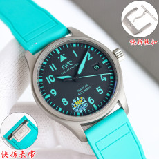 TW) IWC 파일럿 워치 마크 XX